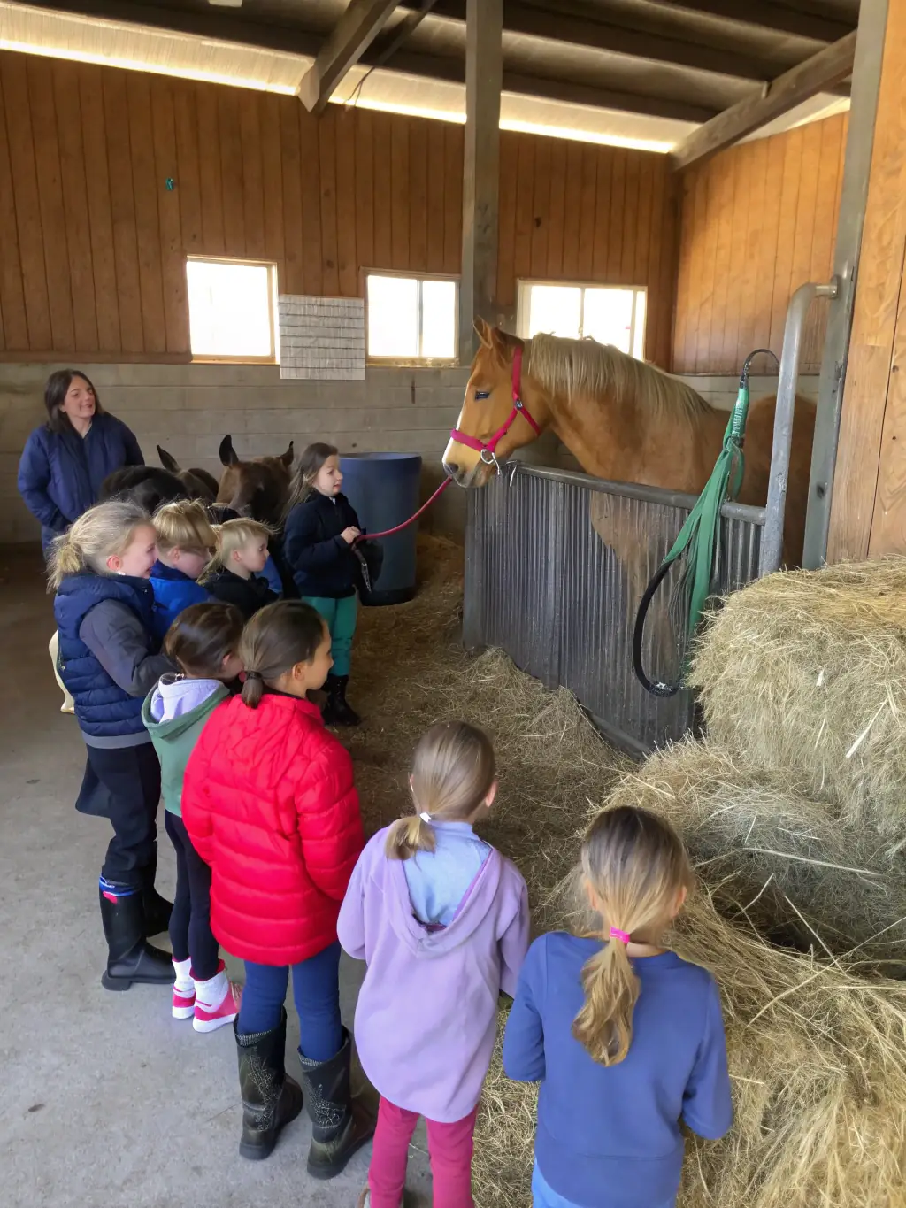 A heartwarming image of children from diverse backgrounds learning to groom horses, showcasing the inclusive nature of LE CHEVAL DANS TOUS SES ETATS' community programs.